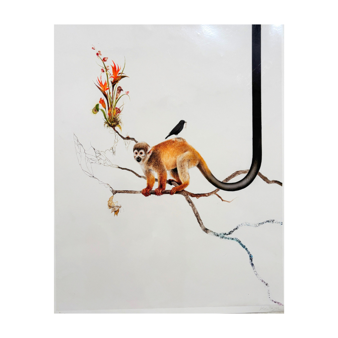 Monkey Print