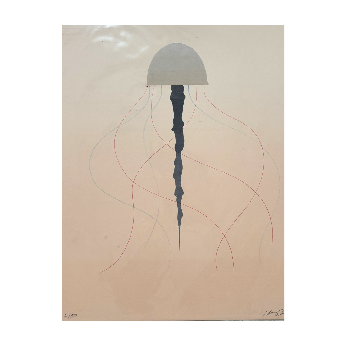 jellyfish print