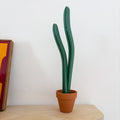tall plant