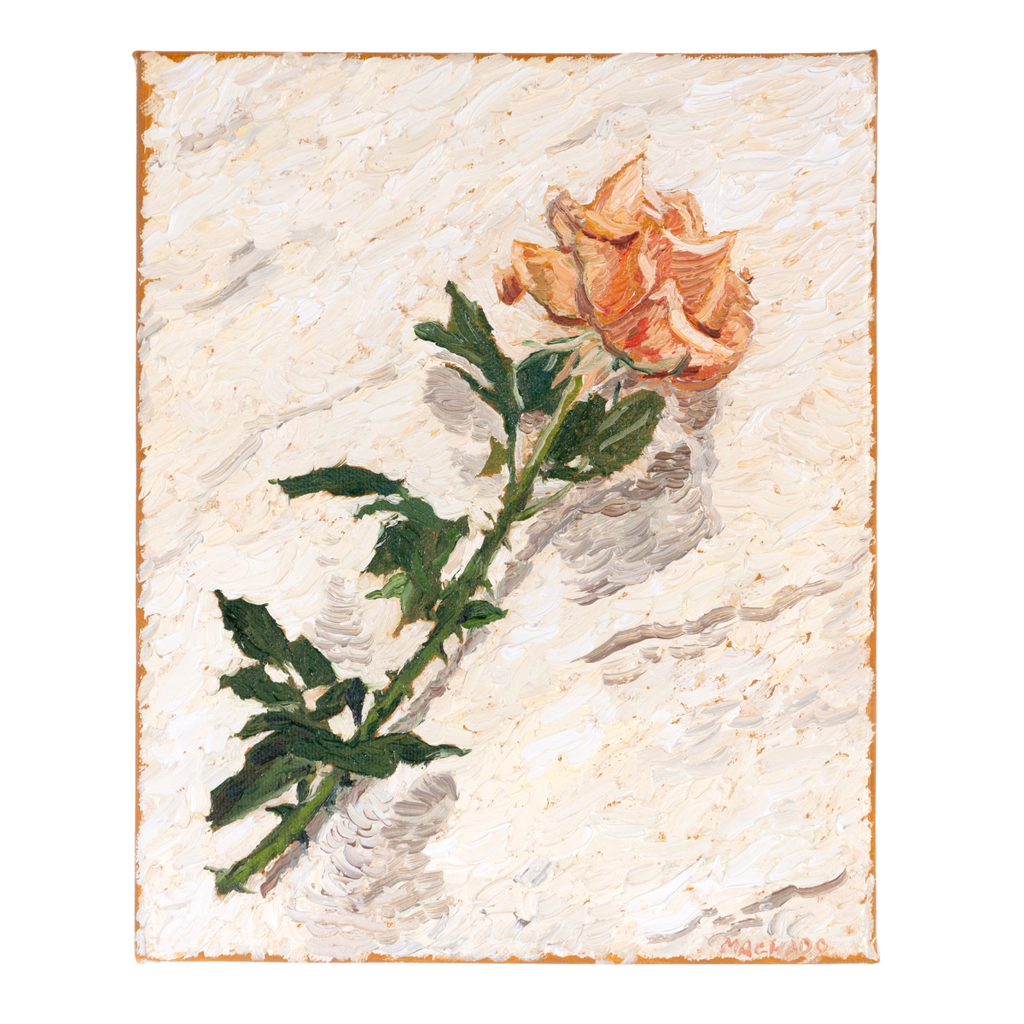 The Cut Rose, 2026